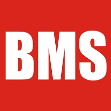 BMS 4590 GITTER - Grille for BMS4590