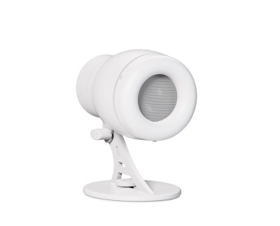 2" Point Source Compact speaker 8/32 Ohm, White