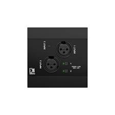 (EOL) Audac NWP320 Networked audio input panel - 2 x XLR + 3.5 mm jack + BT (4 CH)