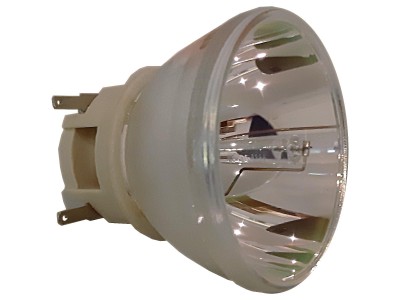 Projectorlamp PHILIPS bulb for BENQ 5J.JGS05.001, 5J.JGR05.001, 5J.J3E05.001 or projector MW732, MX731, MX611, MS610