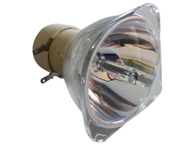 Projectorlamp PHILIPS bulb for DELL 310-7578, 725-10089 or projector 2400MP