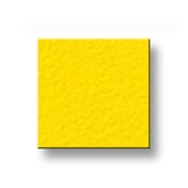 Birch Plywood Plastic-Coated with Stabilising Foil yellow 6.9 mm