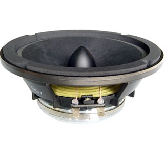 Mid-range speaker - phase diffusor - 125 W RMS -