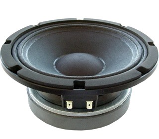 bass speaker - 250 W - 95 dB