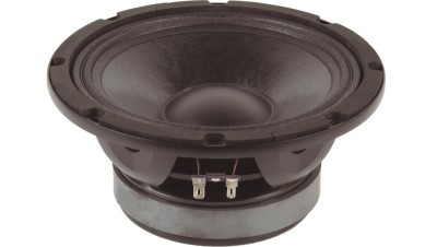 8" for Low/Mid bass 300 W AES