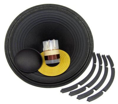 Eminence R Deltalite II 2510 - Re-Cone Kit for ERDL22510A 10&quot; Speaker 8 Ohm