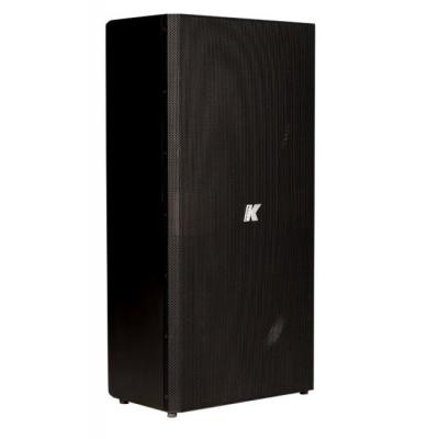 Domino-KF210, 10" passive, 4/16?, stainless steel, full-range speaker