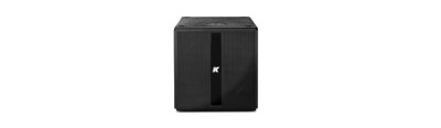 High tech multi-task powered 12" subwoofer with DSP and power output
