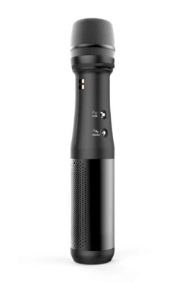 Portable All-in-One Mic  - 10W