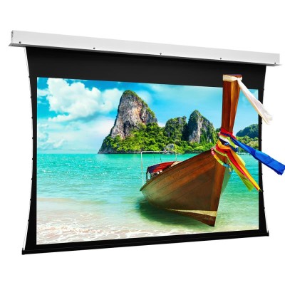 Screen Surface Assembly Tensioned Descender RF Electrol HD Progressive 0,9 HDTV(