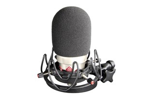 Rycote Neumann TLM103 microphone foam