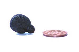 Rycote neoprene coated mini lavalier foam, 1 piece, black