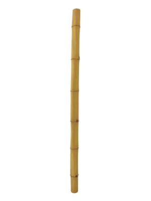 EUROPALMS Bamboo tube, =12cm, 200cm